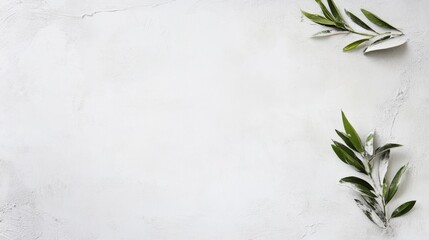 Elegant and Minimalist Background with Green Leaves on a White Surface for Natural and Fresh Themes in Design Projects