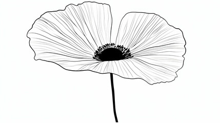 Obraz premium Perfect for minimalist and contemporary designs, this exquisite black line drawing features a delicate flower with leaves on a transparent background.