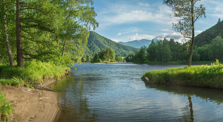 Wild mountain river on a summer day	