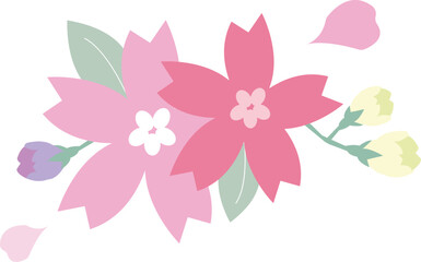 사쿠라 꽃