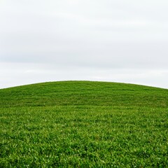 Obraz premium Lush Green Hill Under Cloudy Sky in Peaceful Rural Landscape