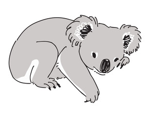 休んでいるコアラのイラスト - obrazy, fototapety, plakaty