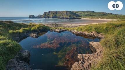 Serene Coastal Landscape with Rocky Cliffs and Tidal Pool, Vibrant Green Grass, and Tranquil Sandy Beach under Clear Blue Sky in Northern Ireland