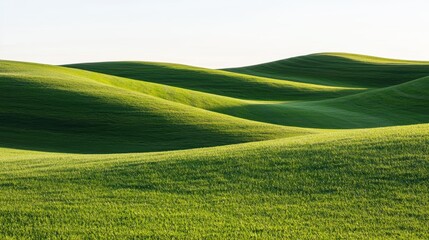 Obraz premium Serene Green Hills Under Clear Sky in Tranquil Landscape