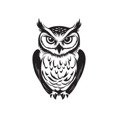 owl on a white background