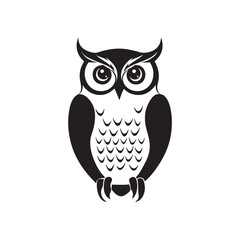 owl on white background