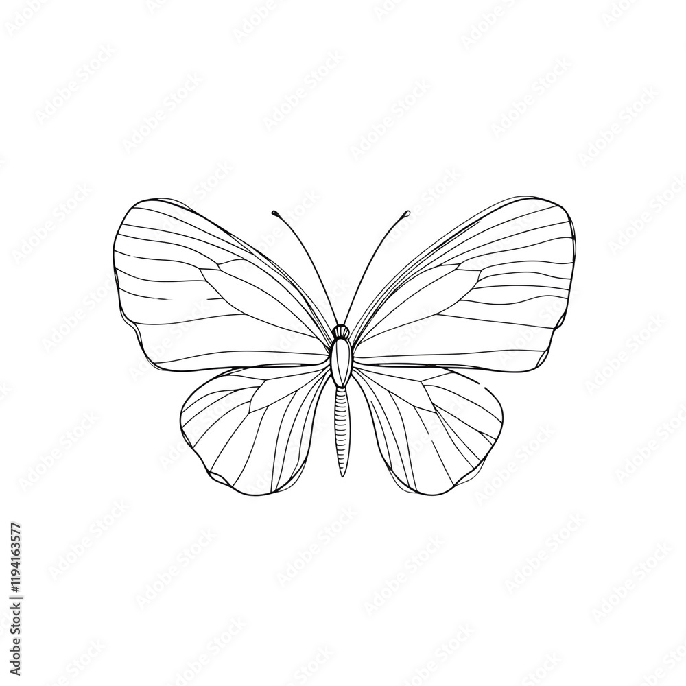 Poster the image shows a detailed line art drawing of a butterfly against a black background, showcasing it