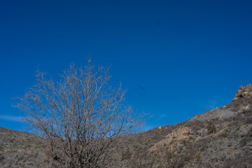 Vista de una montaña y el cielo azul en el desierto