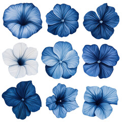Obraz premium A collection of blue and white flowers arranged in a grid pattern, showcasing various shapes and shades of petals.