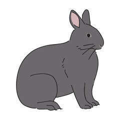 Obraz premium アマミノクロウサギのイラスト