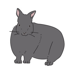 アマミノクロウサギのイラスト