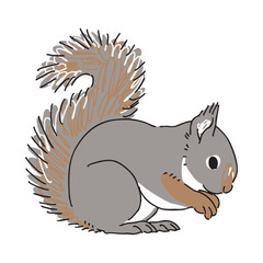 ニホンリスのイラスト