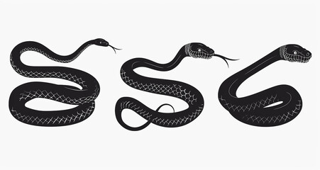 Obraz premium Collection of Snake Silhouettes in Black on a White Background