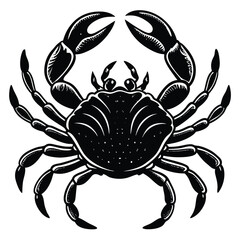 crab with raised pincers