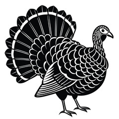 turkey fanning its tail feathers