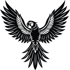 macaw spreading its vibrant wings