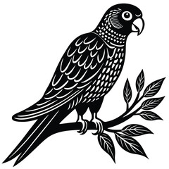 parrot perched on a twig