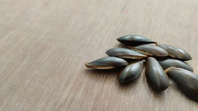 Sapodilla seeds are black with a wooden background