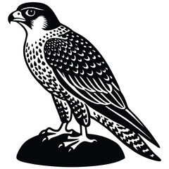 falcon perched on a rock