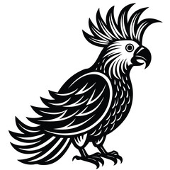 rooster isolated on white