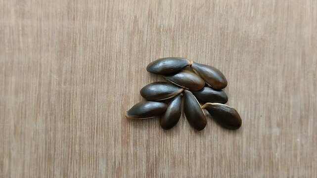Sapodilla seeds are black with a wooden background