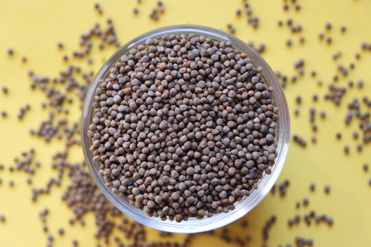 Silam, Perilla frutescens seeds din a bowl
