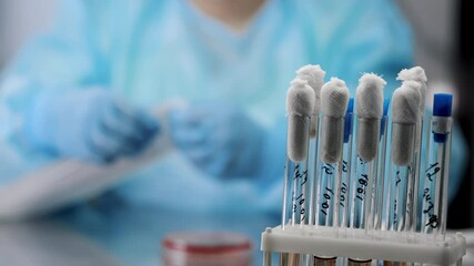 Close-up of test tubes with images of tests in the laboratory. In the background, a doctor in a blue laboratory suit opens a swab package. - Powered by Adobe