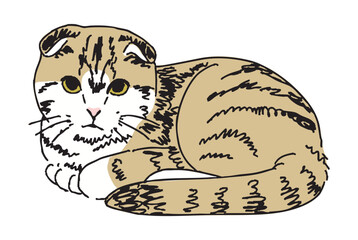 猫の手描きイラスト