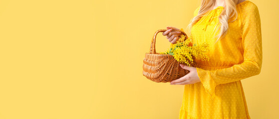 Woman holding basket with beautiful mimosa branch on color background