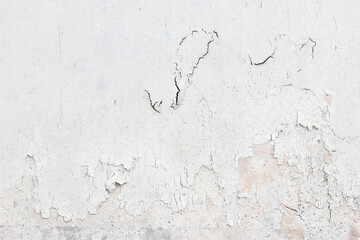 Light Gray Stucco Wall Texture. Abstract Background