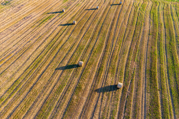 Hay collected in rolls on a farm field, aerial view