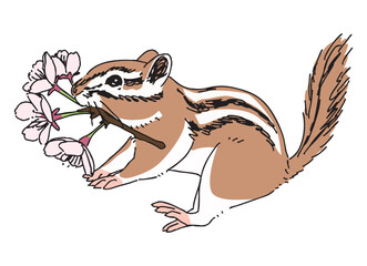 桜の花をくわえたリスの手描きイラスト