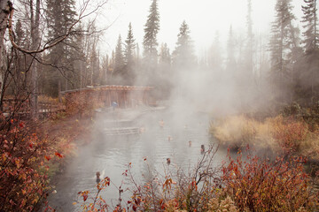 Liard River, Canada - October 12, 2024: People in steamy Liard Hot Springs on an autumn day in Canada.