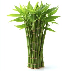 Fototapeta premium Lush Green Bamboo Plant on White Background