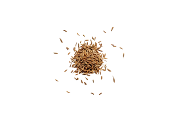 close-up of a pile of organic dry cumin seeds isolated on a transparent background without shadows from above, top view, png