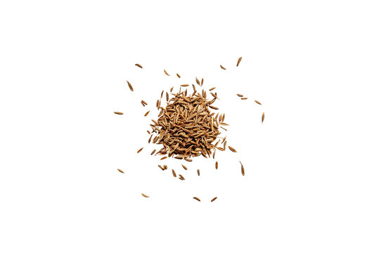 close-up of a pile of organic dry cumin seeds isolated on a transparent background without shadows from above, top view, png