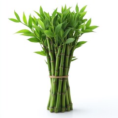 Obraz premium Lush Green Bamboo Plant Bundle: A Symbol of Serenity and Growth