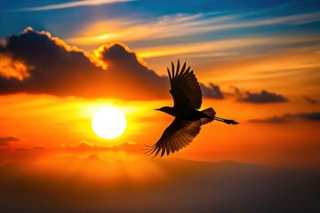 Minimalist Silhouette of a Bird in Flight - Sunset Backdrop