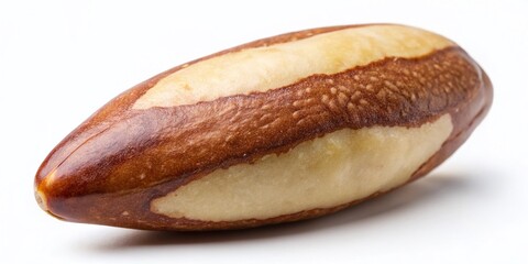 Single Brazil Nut, Isolated on White, High-Resolution Stock Photo