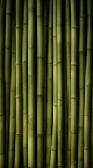 Obraz premium Texture Wallpaper bamboo plant backgrounds.