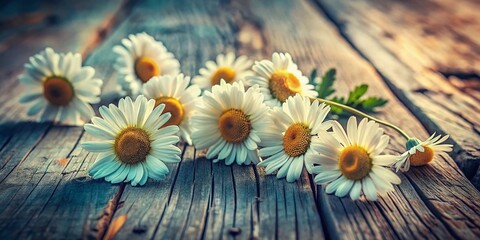 Obraz premium Vintage Daisy Flowers on Rustic Wooden Background - Stock Photo