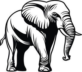 Obraz premium vector of black silhouette of elephant ,illustration of an elephant ,Elephant silhouette, vector black color silhouette solid white background