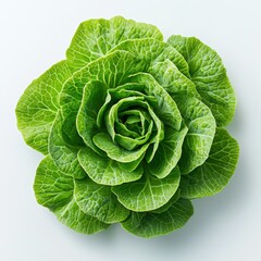 Obraz premium Fresh green cabbage on white background minimalist food photography for culinary inspiration