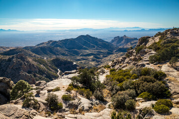 Explore the scenic wilderness of Mount Lemmon