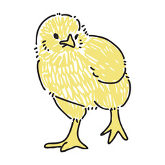 ヒヨコの手描きイラスト