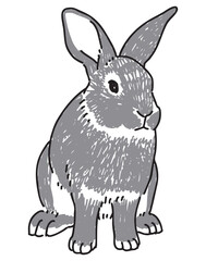 座っているウサギの手描きイラスト
