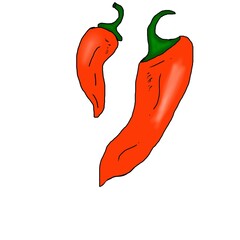 Jalapeño or halapenyo or mexicon chili in white background 