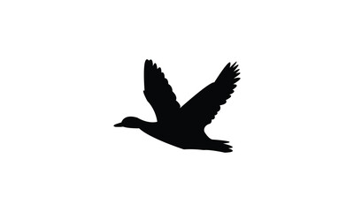 Flying Black Duck Bird Silhouette Design  And Vector Illustration. 
