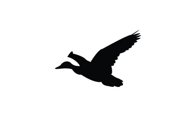 Flying Black Duck Bird Silhouette Design  And Vector Illustration. 

