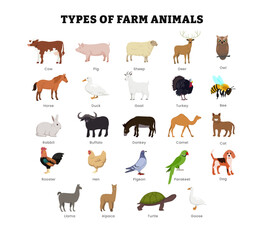 Set of different types of farm animal collection for education poster, vector illustration with cow, pig, sheep, turkey, owl, horse, duck, rabbit, pigeon, turtle, goose, rooster, alpaca, camel.